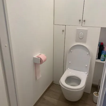 Bel T3 Centre Ville Apartment